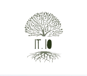 Logo IT-IO